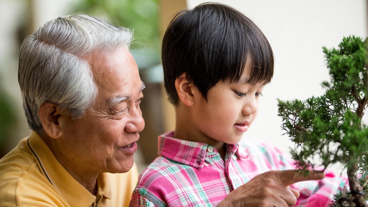 Grandfather and grandson see tree ; the image used for wealth retirement
