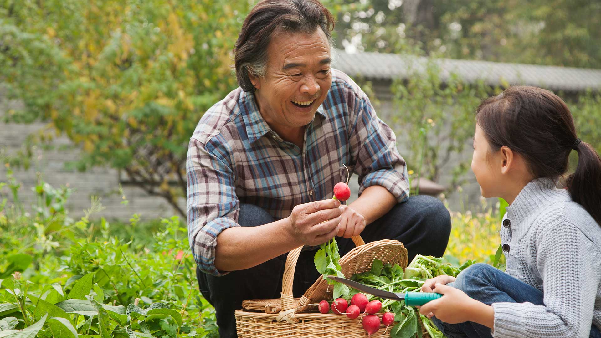 grandpa and granddaughter pick fruits ;the image used for wealth legacy page