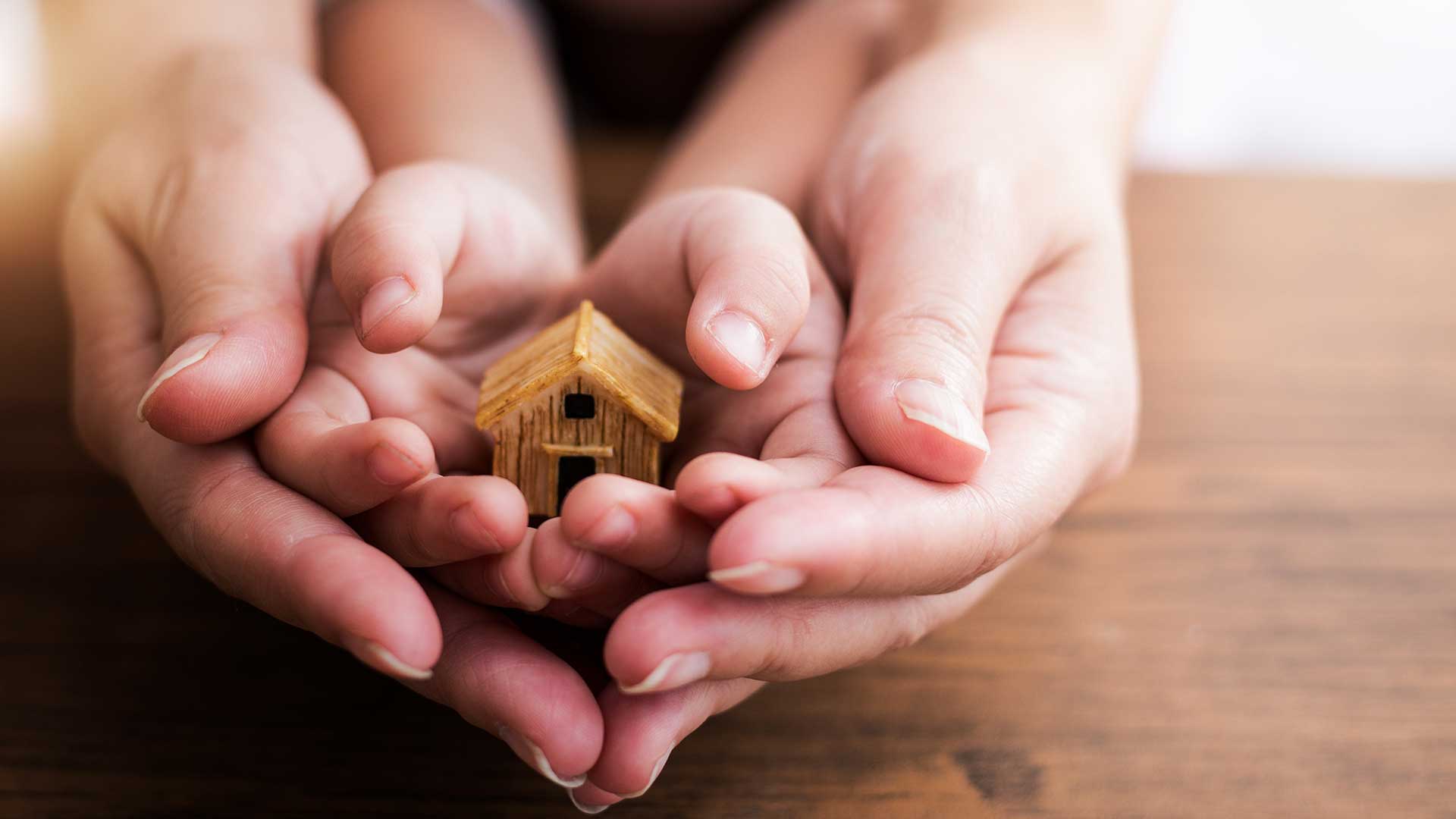 families are hand in hand; the image used for wealth grow money