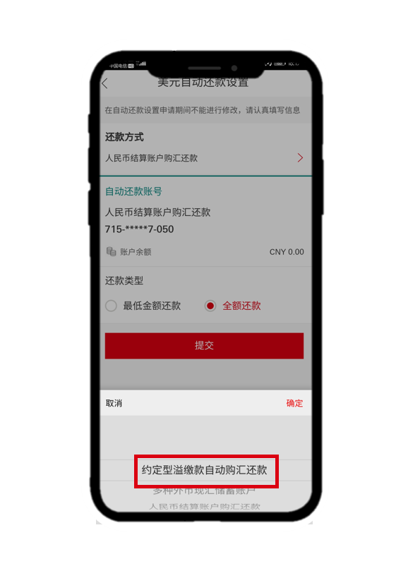 信用卡偿还美元账单界面4
