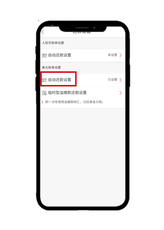 信用卡偿还美元账单界面3