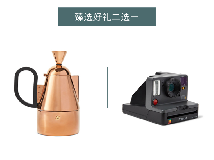 Tom Dixon别致咖啡壶或宝丽来拍立得复古相机,礼品二选一