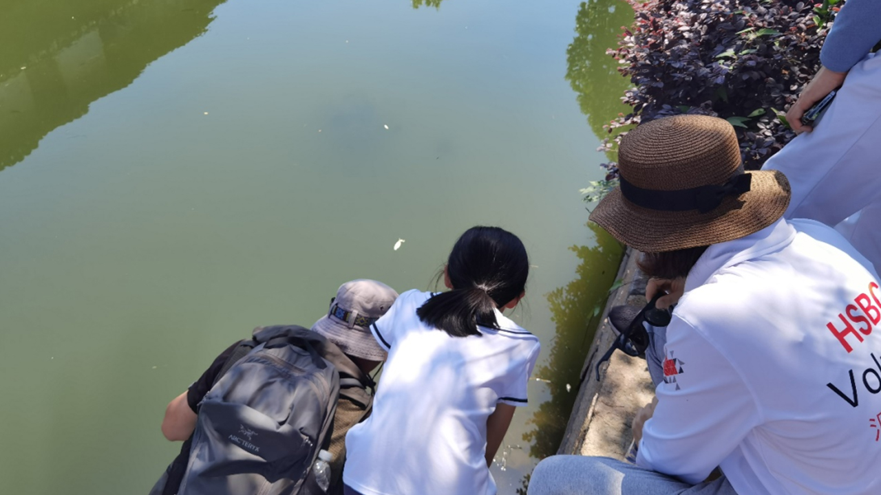 专家老师带大家观察和生动讲解水下生物