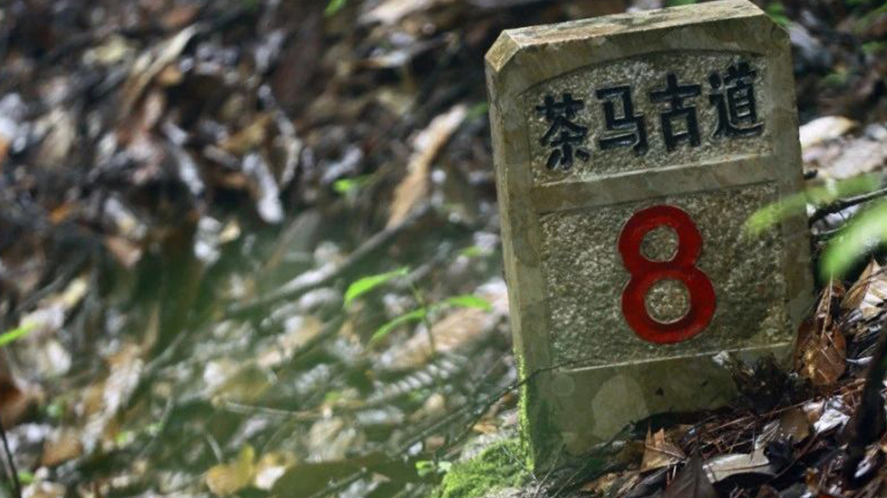 茶马古道；图片用于彩云之南望天地，寻源茶马融自然 | 大家汇客厅