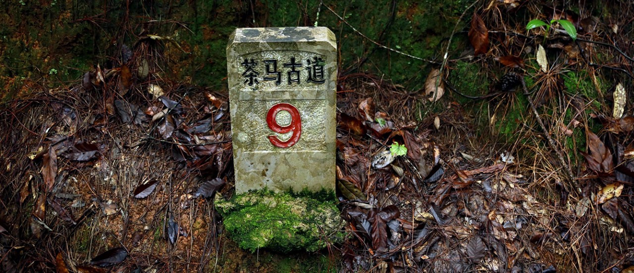 茶马古道9