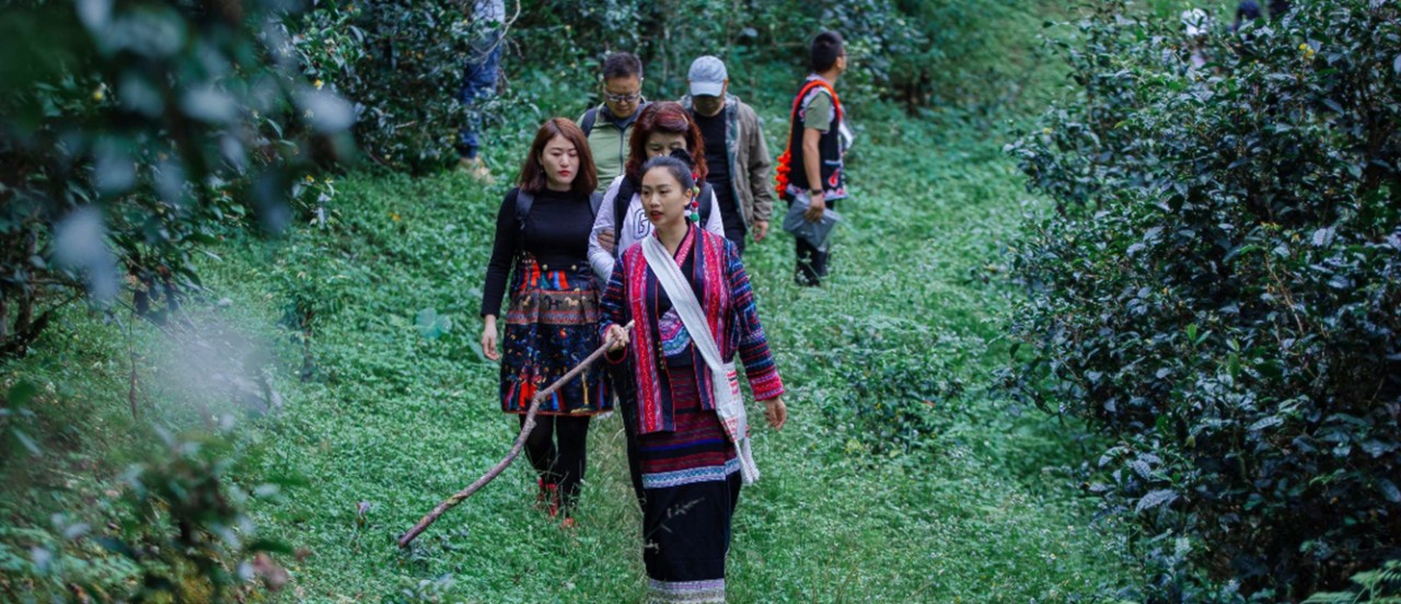 王莉——景迈山阿百腊庄园女主人,资深制茶专家、布朗族烤茶第三代传承人