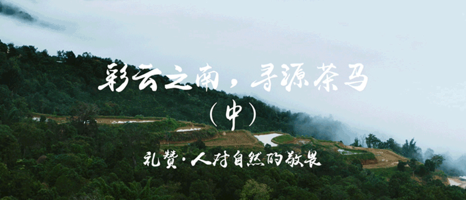 彩云之南,寻源茶马(中),礼赞·人对自认的敬畏