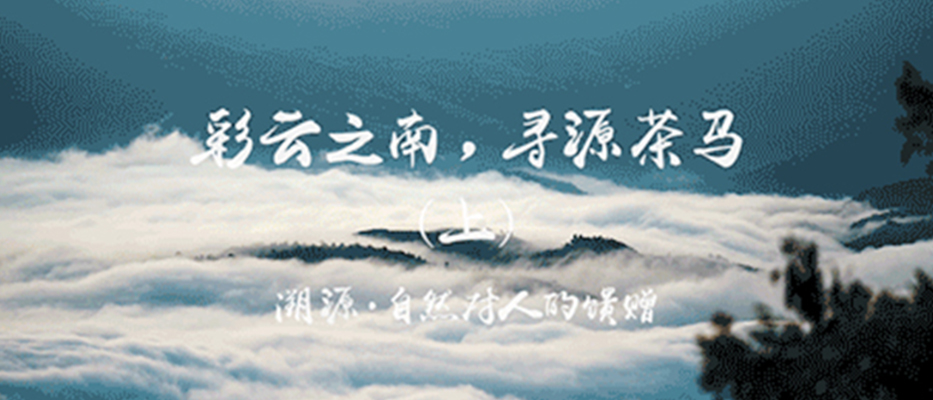彩云之南,寻源茶马(上)溯源,自然对人的馈赠