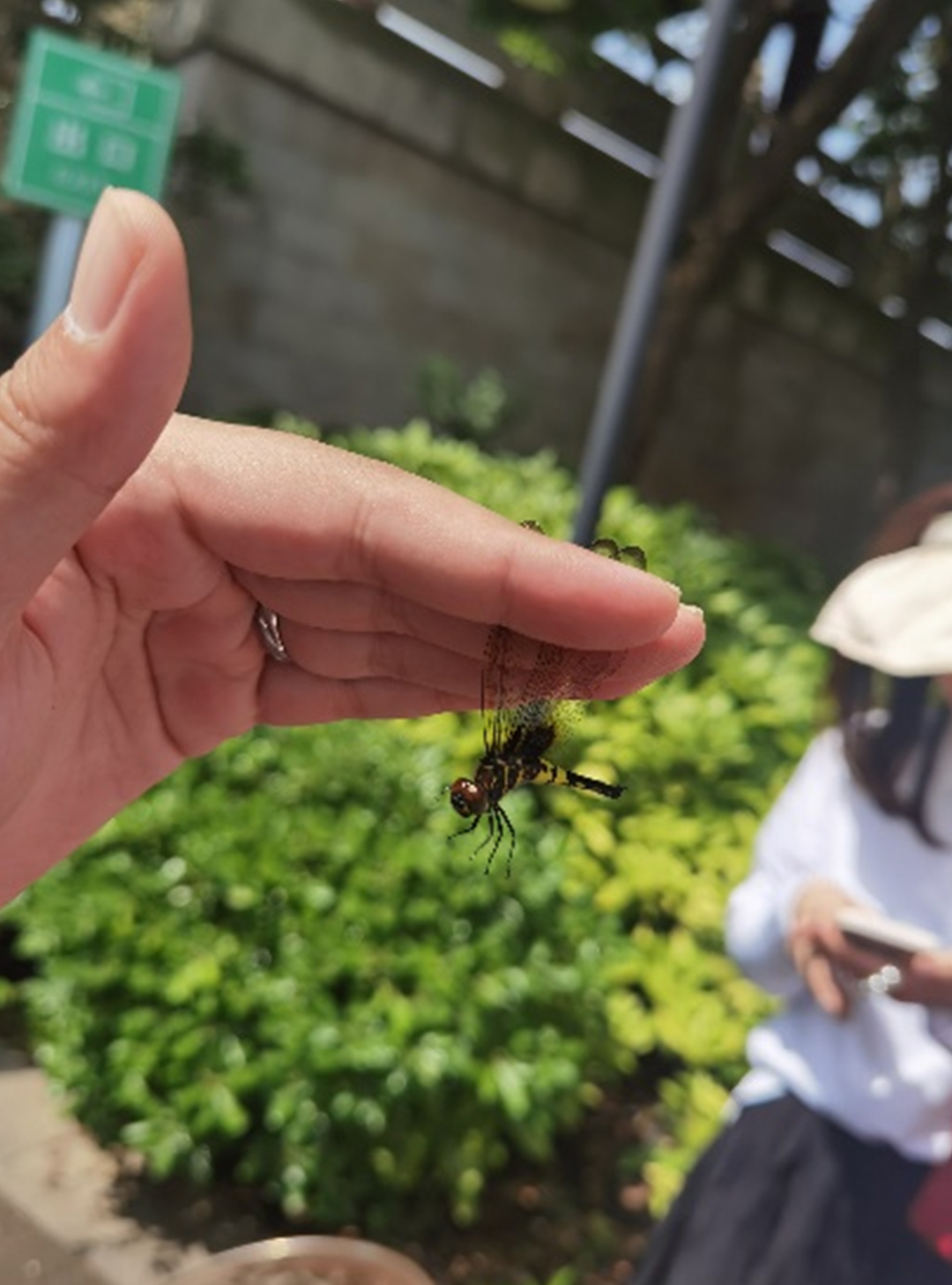 专家老师悉心讲解湿地生物的趣事