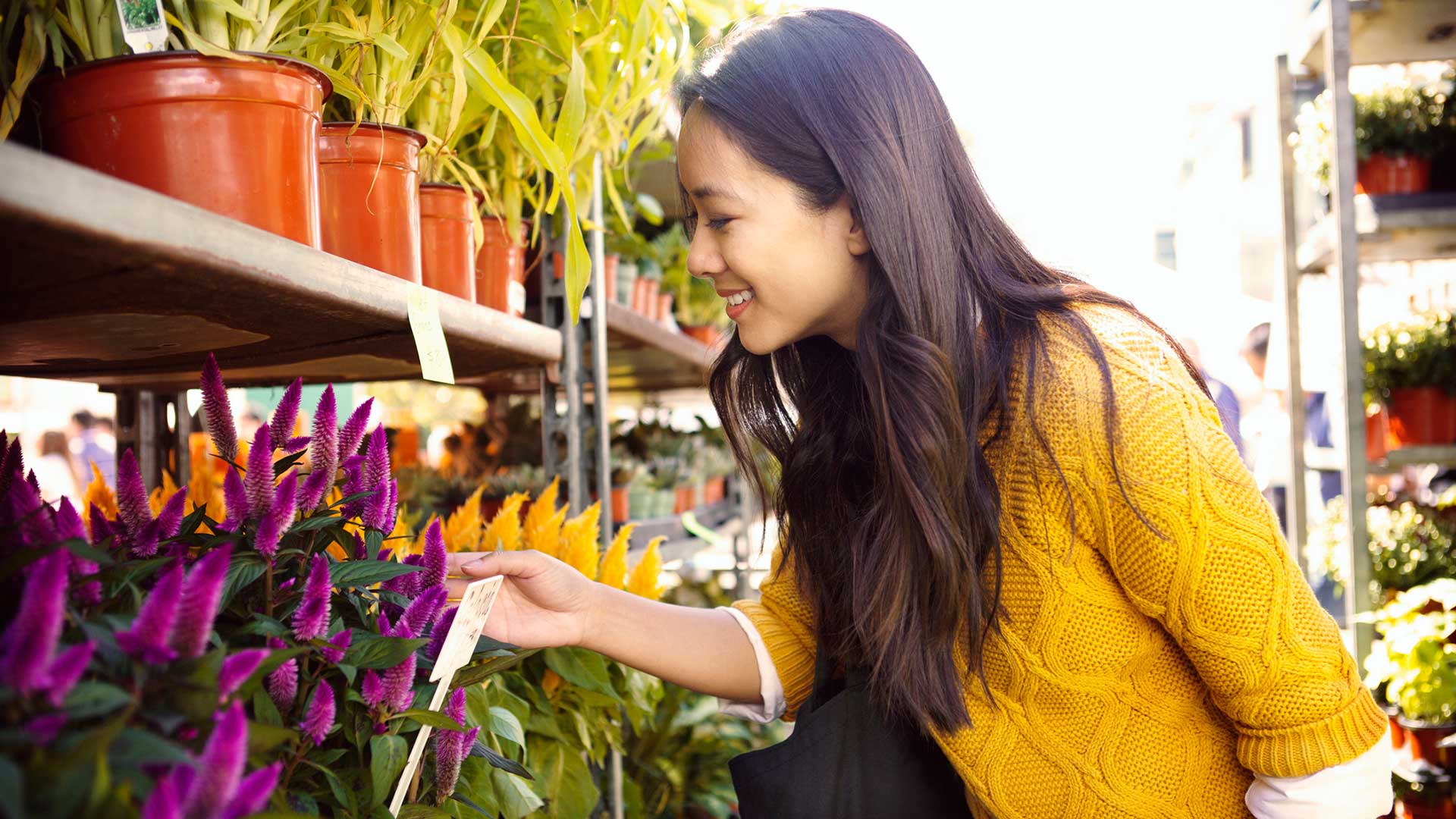 Clerk fiddling with flowers; the image used for making your money work for you